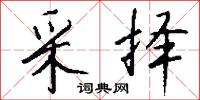 采择怎么写好看