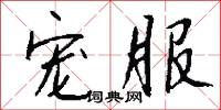 宠服怎么写好看