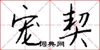 宠契怎么写好看
