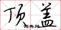 顶盖怎么写好看