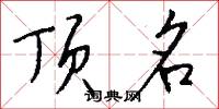 顶名怎么写好看