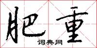 肥重怎么写好看
