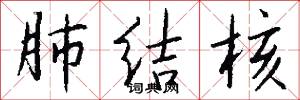 肺结核怎么写好看