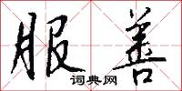 服善怎么写好看
