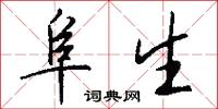 阜生怎么写好看