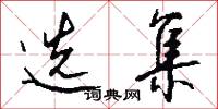 选集怎么写好看