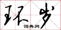 环岁怎么写好看