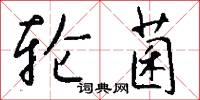 轮菌怎么写好看