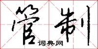 管制怎么写好看