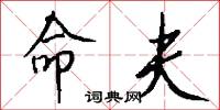 命夫怎么写好看