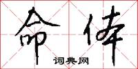 命体怎么写好看