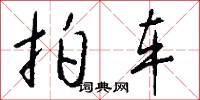 拍车怎么写好看
