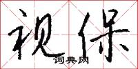 视保怎么写好看