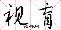 视盲怎么写好看