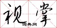 视掌怎么写好看