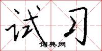 试习怎么写好看