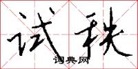 试秩怎么写好看