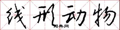 线形动物怎么写好看