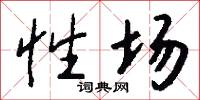 性场怎么写好看