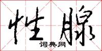 性腺怎么写好看
