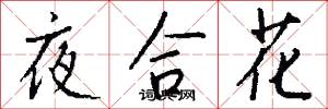 夜合花怎么写好看