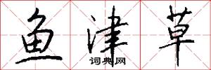 鱼津草怎么写好看