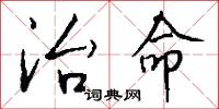 治命怎么写好看