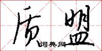 质盟怎么写好看