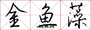 金鱼藻怎么写好看