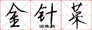 金针菜怎么写好看