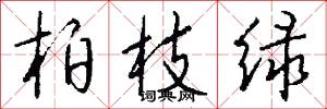 柏枝绿怎么写好看