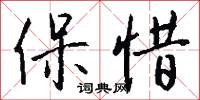 保惜怎么写好看