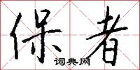 保者怎么写好看