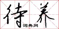 待养怎么写好看