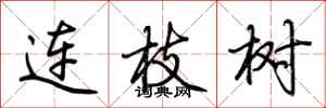 连枝树怎么写好看