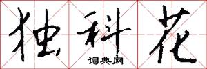独科花怎么写好看