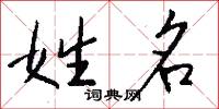 姓名怎么写好看