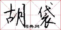 胡袋怎么写好看