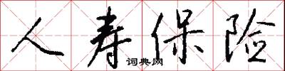 人寿保险怎么写好看