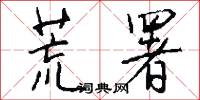 荒署怎么写好看
