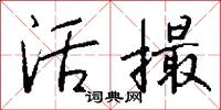 活撮怎么写好看
