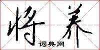 将养怎么写好看