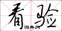 看验怎么写好看