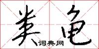 类龟怎么写好看