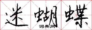 迷蝴蝶怎么写好看
