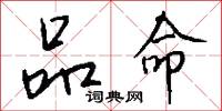 品命怎么写好看