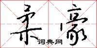 柔豪怎么写好看