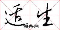 适生怎么写好看