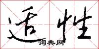 适性怎么写好看