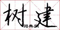 树建怎么写好看